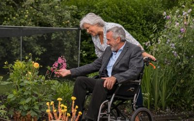 The Transition to Retirement: 11 Exceptional Tips for the Average Joe or Jane